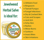 Creation Farm Jewelweed Balm, Poison Ivy Remedy, Herbal Tea Tree Salve Jar Skin Treatment Helps Tattoos, Soothes Rashes, No Glu