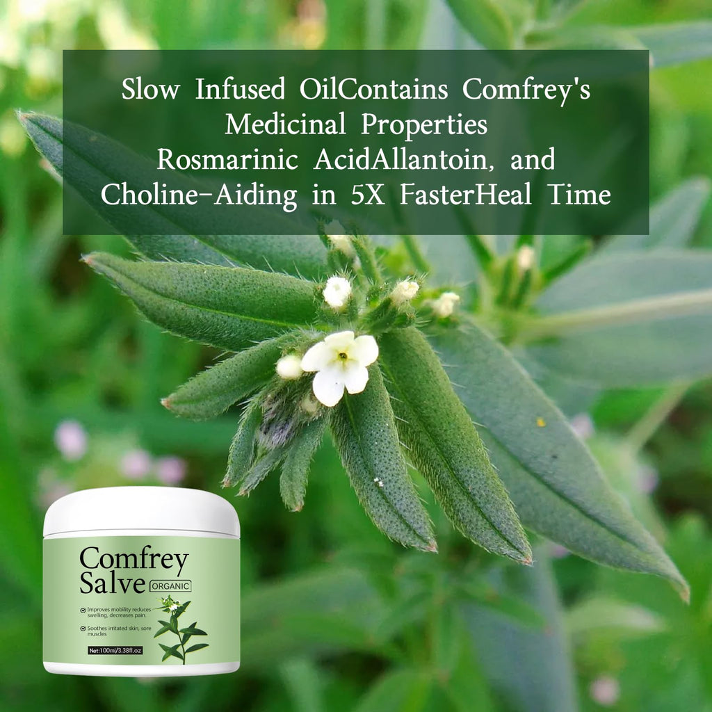 TLM Salve Comfrey Organic, Barbara Comfrey Herbal Salve,Australia Dr Recommended Organic Formula,Organic Herbal Salve,Herbal Sal