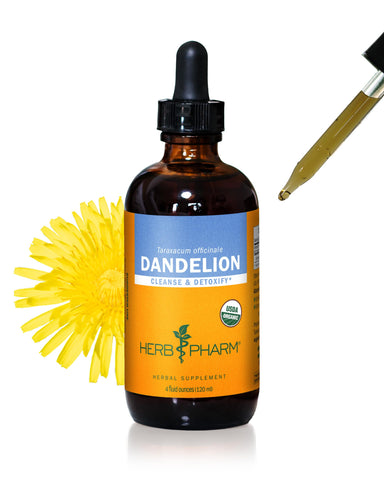 Herb Pharm Certified Organic Dandelion Liquid Extract for Cleansing and Detoxification, Organic Cane Alcohol, 4 Ounce