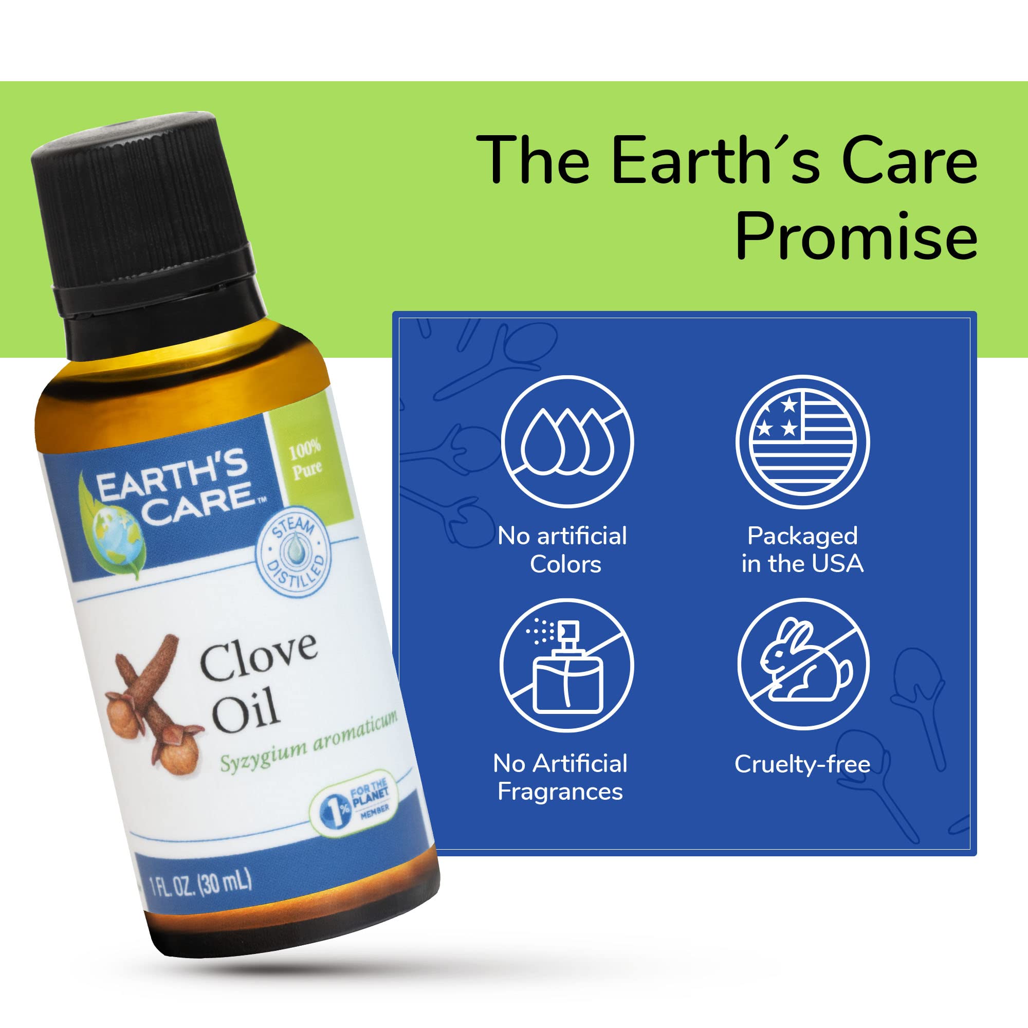 Earths Care Clove Oil - Essential Oil for Aromatherapy - 100% Pure Clove Oil - Steam Distilled - 1 Fl OZ