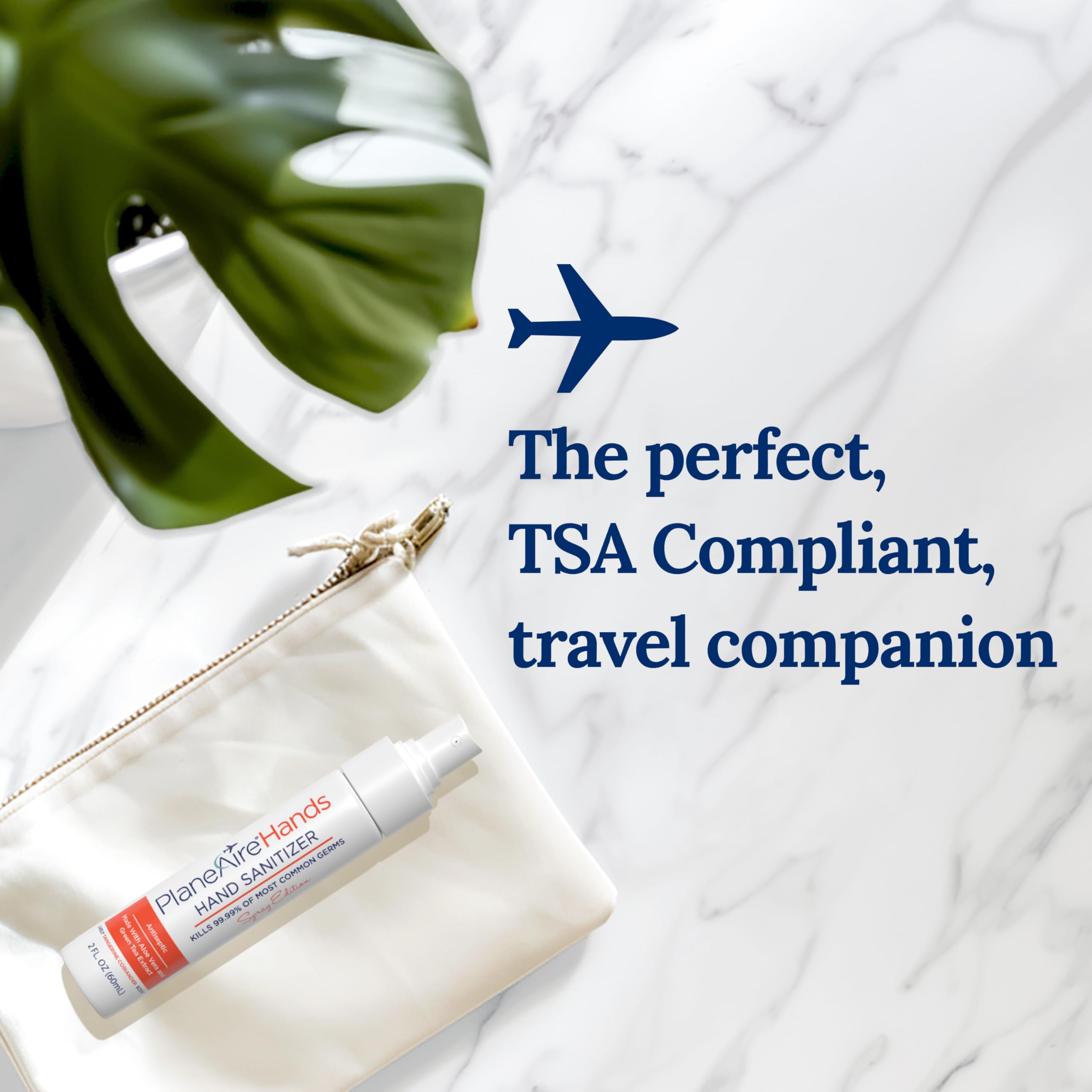 Tangerine Coriander Spray Hand Sanitizer | Travel Size | Hydrate & Cleanse | Made with Aloe Vera & Essential Oils | Green Tea Ex