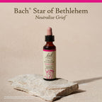 Bach Original Flower Remedies, Star of Bethlehem - Neutralize Grief - Natural Homeopathic Flower Essence for Emotional Balance -