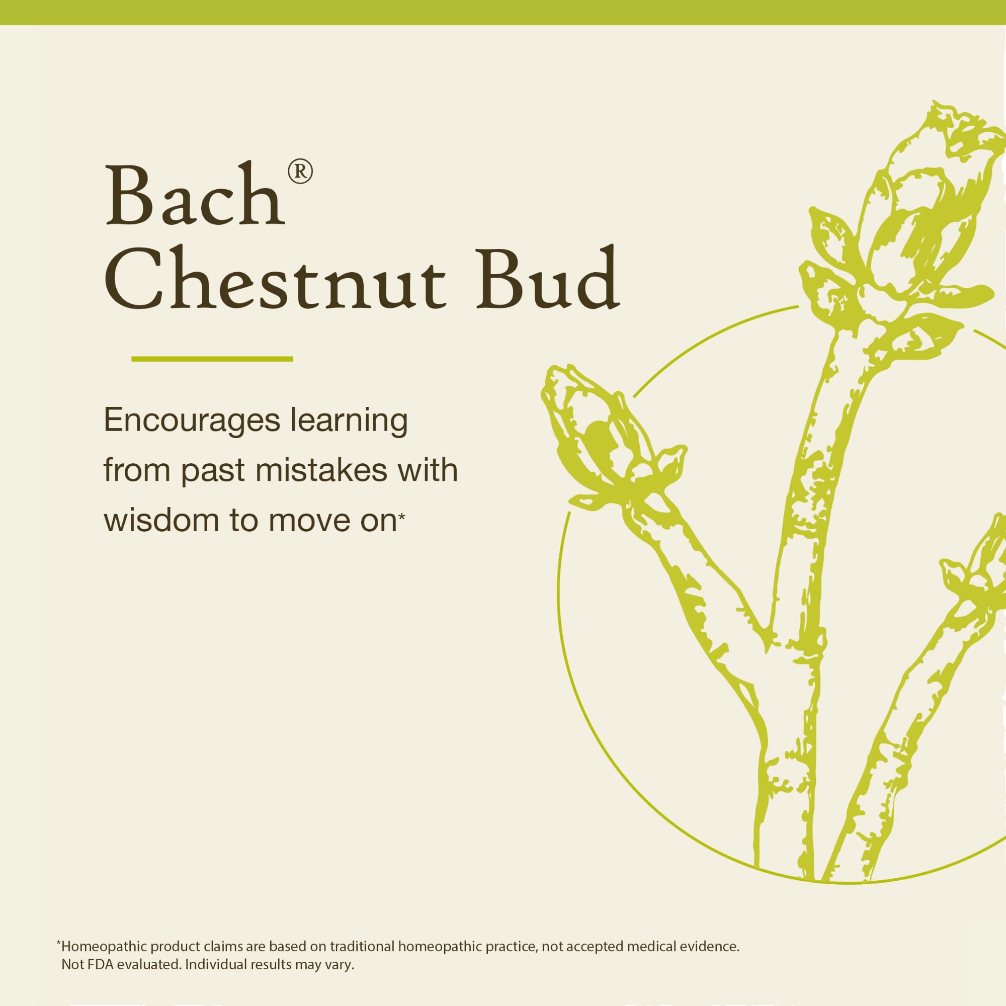 Bach Original Flower Remedies, Chestnut Bud - Learn from Mistakes - Natural Homeopathic Flower Essence for Emotional Balance - V
