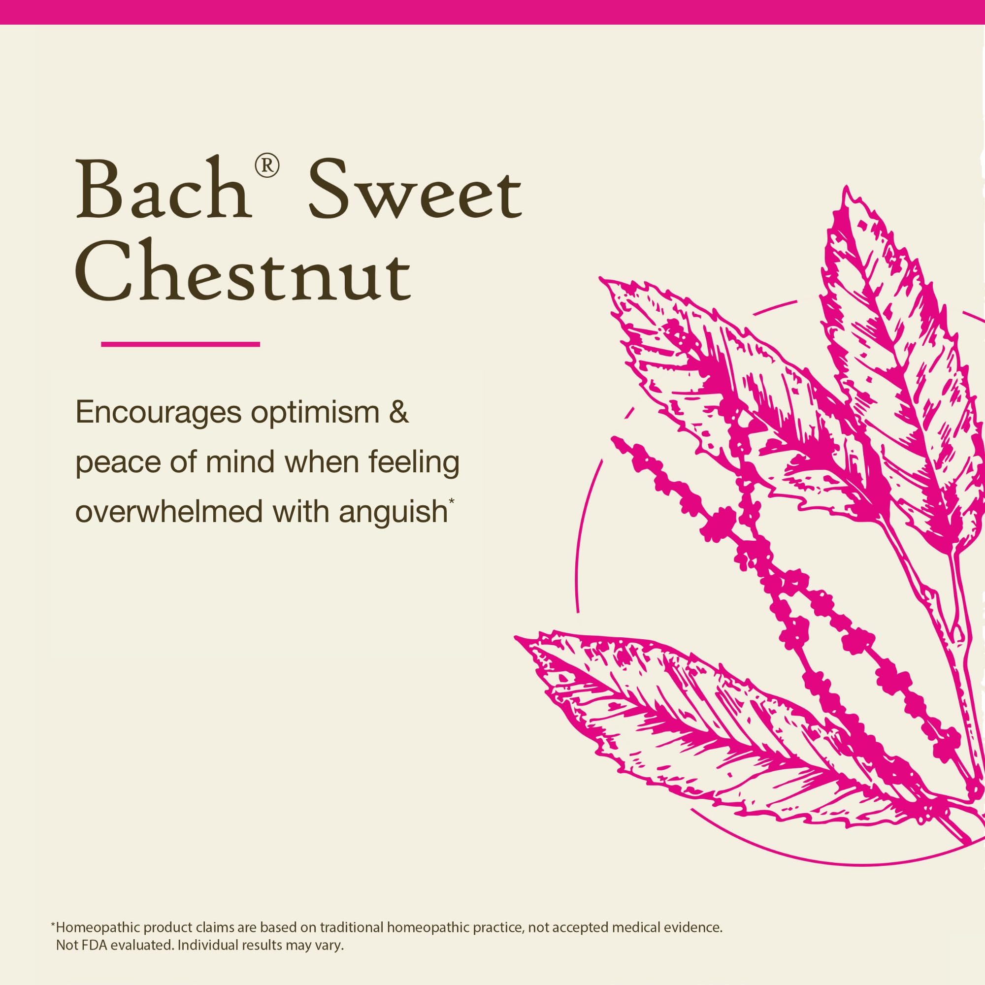 Bach Original Flower Remedies, Sweet Chestnut (Non-Alcohol Formula) - Be Optimistic - Natural Homeopathic Flower Essence for Emo