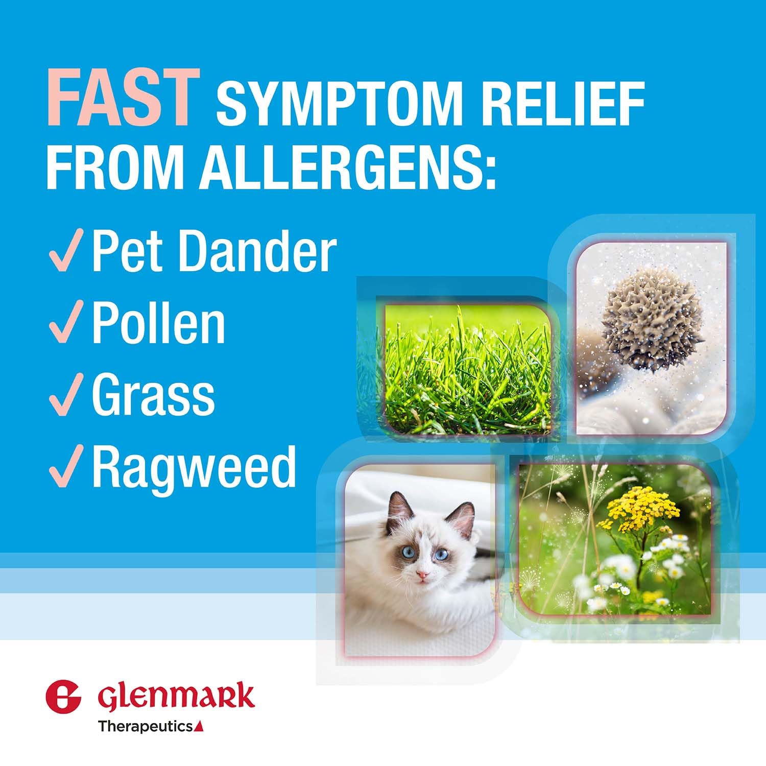 Glenmark Therapeutics Olopatadine Eye Drops for Allergies, Redness Relief, Antihistamine Eye Drops, Allergy Relief from Pet Dand