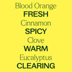 Plant Therapy Germ Fighter Essential Oil Blend Pure, Natural Aromatherapy, for Diffusion & Topical Use, DIY Multi-Surface Cleane