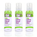 Boogie Baby Saline Nasal Spray Mist, Allergy Relief, Nasal Decongestant, FSA/HSA Eligible, Made with Natural Saline, Unscented, 