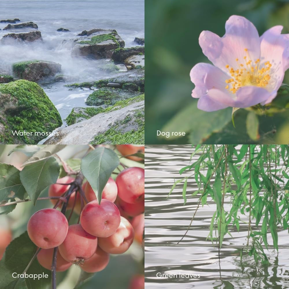 Skandinavisk Y Island Scent Diffuser with 8 Reeds. Lasts +3 Months. Fragrance Notes: Crabapple and Dog Rose, Water Mosses and
