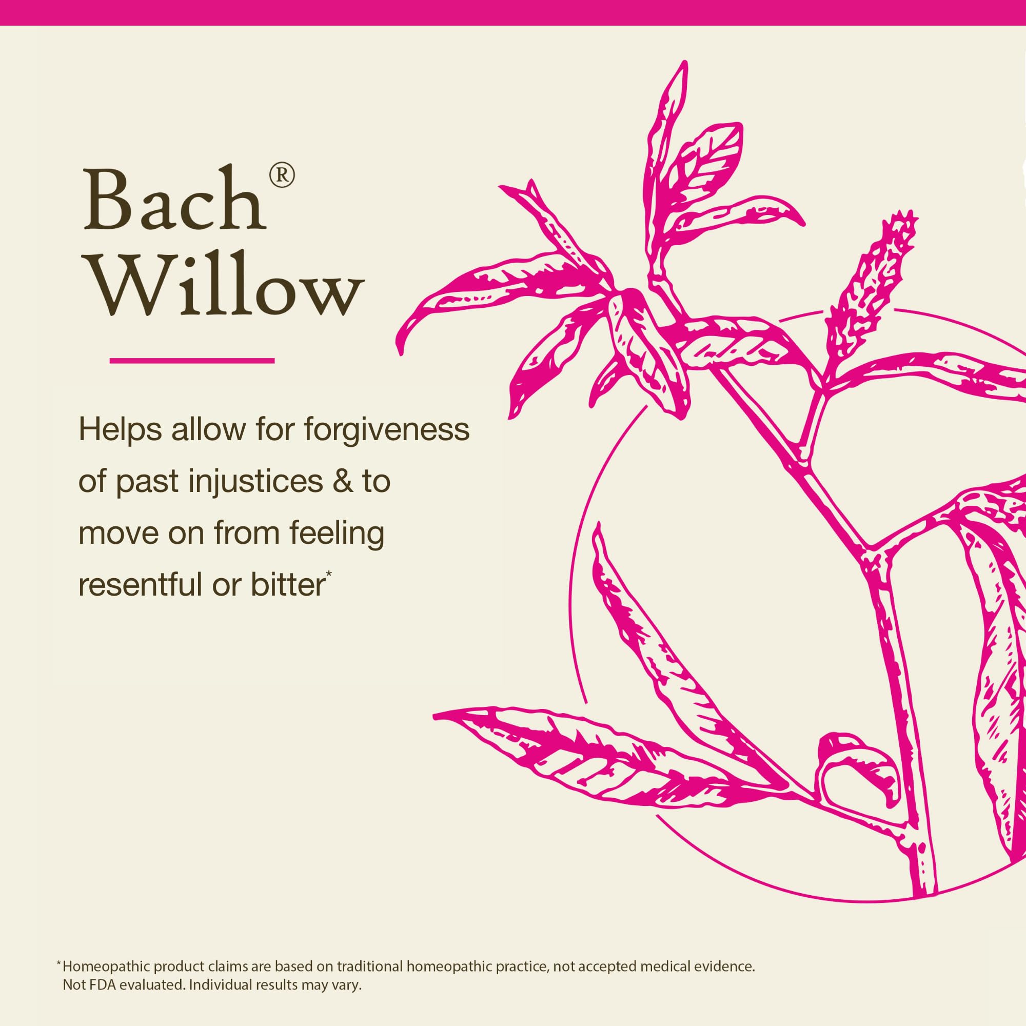 Bach Original Flower Remedies, Willow - Forgive & Forget - Natural Homeopathic Flower Essence for Emotional Balance - Vegan, Glu