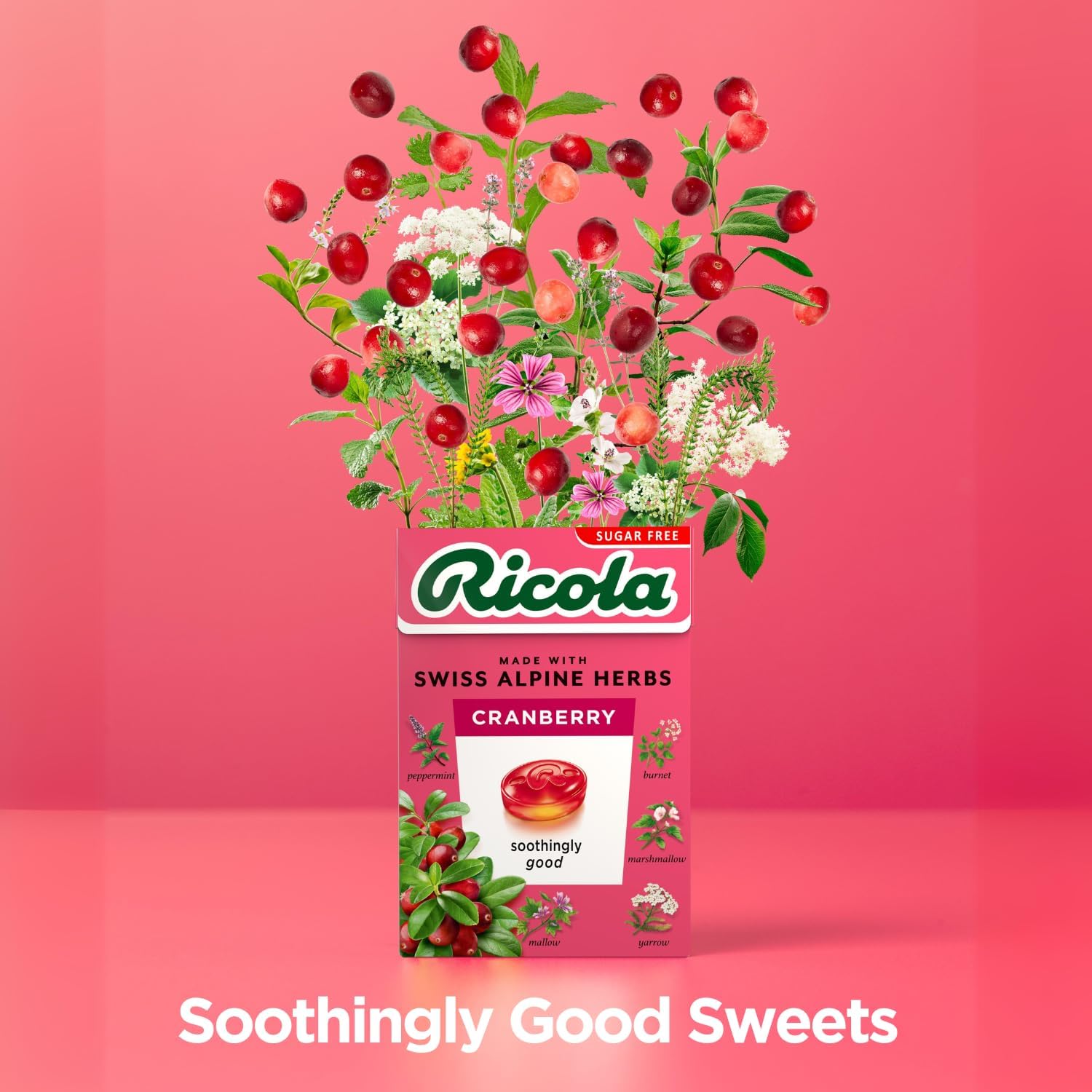 Ricola Cranberry Sf Lozenges Box 45G Pack of 20