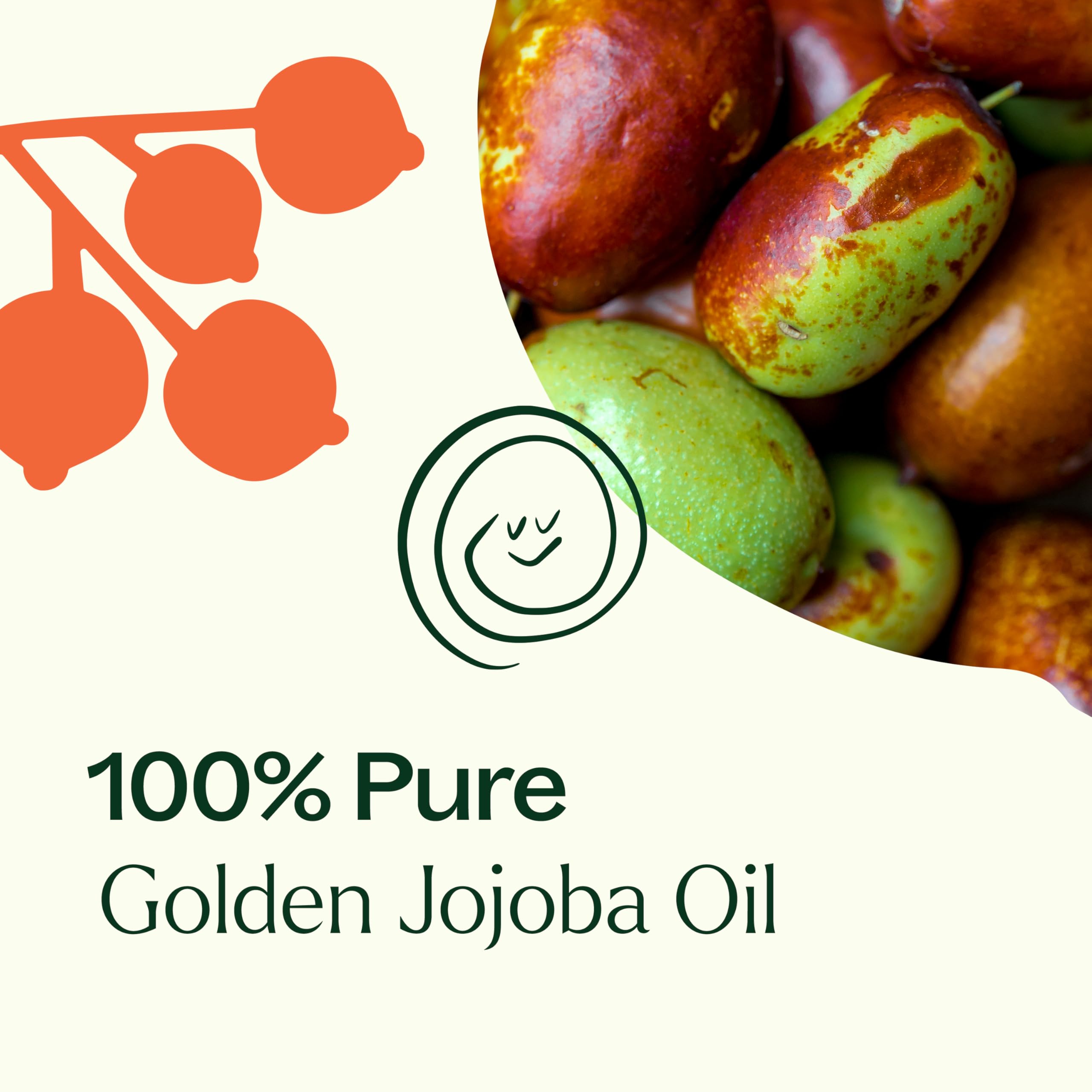 Plant Therapy Jojoba Golden Carrier Oil 16 oz 100% Pure, Cold-Pressed, Natural and GMO-Free Moisturizer and Carrier Oil for Esse