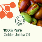 Plant Therapy Jojoba Golden Carrier Oil 2 oz 100% Pure, Cold-Pressed, Natural and GMO-Free Moisturizer and Carrier Oil for Essen
