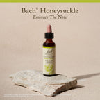 Bach Original Flower Remedies, Honeysuckle - Embrace The Now - Natural Homeopathic Flower Essence for Emotional Balance - Vegan,