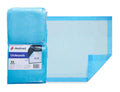 Dealmed Standard Non-Sterile Medical Underpads, Disposable 2-Ply Tissue Fill, 24 x 17, Blue, Perfect for Pet Pads, Furniture Pro