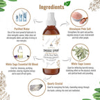 SOUL STICKS White Sage & Cinnamon Smudge Spray - 3.5oz Smokeless Energy Mist with Quartz Crystals - Non-Toxic Cleansing Spray fo