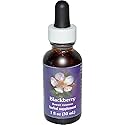 Flower Essence Services Fes Quintessentials Blackberry Supplement Dropper, 1 Ounce
