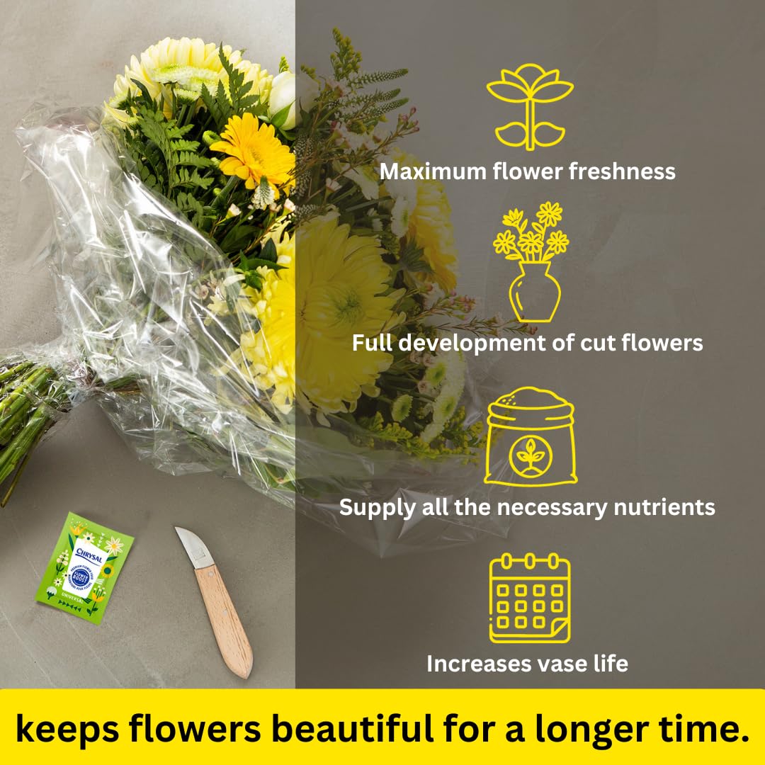 Chrysal Flower Boost - Clear Flower Food Packets for Flower Arrangements & Bouquets - Floral Supplies for Fresh Flowers - Fresh