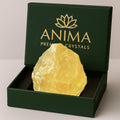 Anima Citrine Crystal - Large 1.6-2 Radiant Yellow Natural Raw Citrine Stone for Abundance, Positivity & Confidence - Ethically 