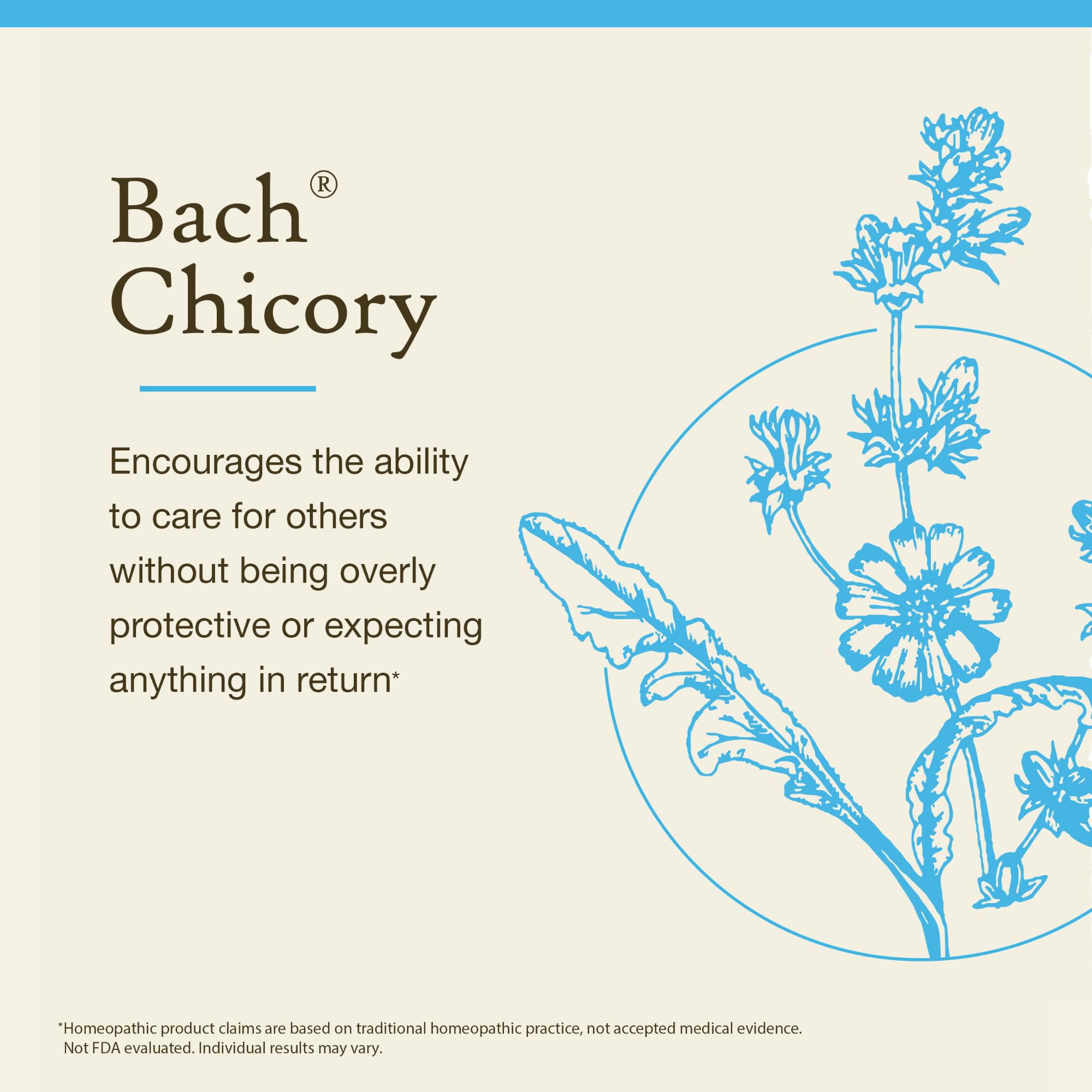 Bach Original Flower Remedies, Chicory - Love Unconditionally - Natural Homeopathic Flower Essence for Emotional Balance - Vegan