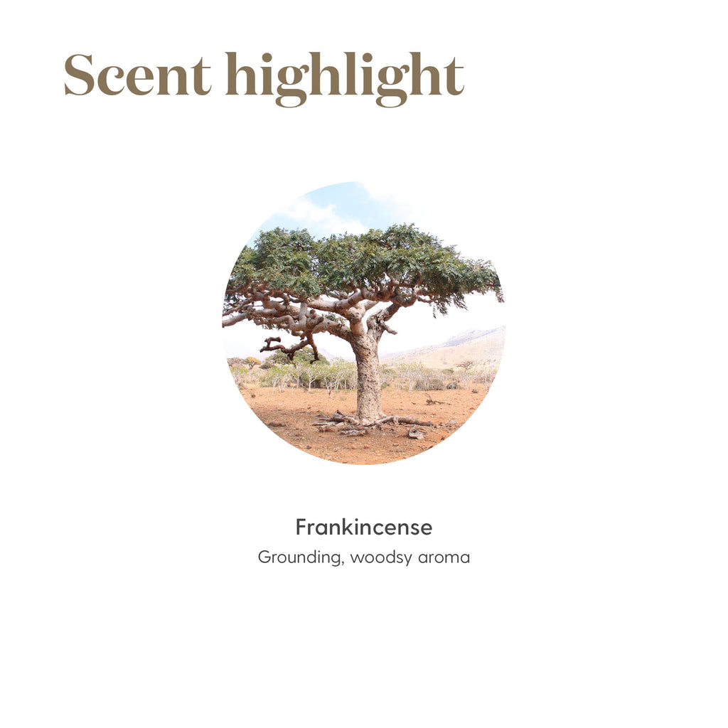 Frankincense Essential Oil 5ml by Young Living Essential Oils