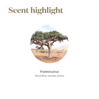Frankincense Essential Oil 5ml by Young Living Essential Oils