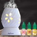 Signamio Aroma Burner Diffuser For Home Fragrance Lamp For Home,Office, Bathroom, Pooja Room, Meditation, Yoga - Dn-9 (Rose, San