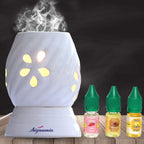Signamio Aroma Burner Diffuser For Home Fragrance Lamp For Home,Office, Bathroom, Pooja Room, Meditation, Yoga - Dn-9 (Rose, San