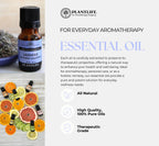Plantlife Rosewood Aromatherapy Essential Oil - Straight from The Plant 100% Pure Therapeutic Grade - No Additives or Fillers -