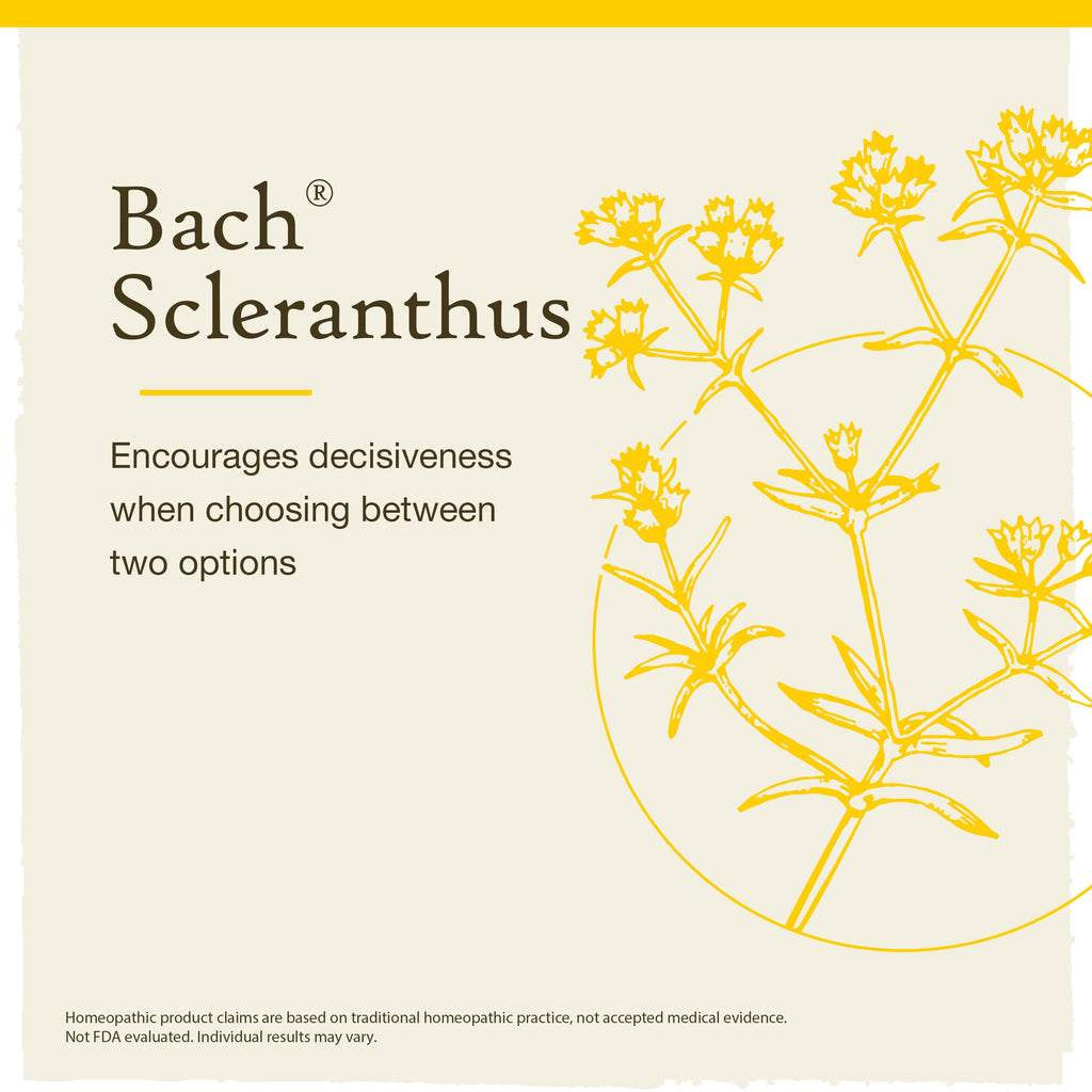 Bach Original Flower Remedies, Scleranthus for Decisiveness and Certainty, Natural Homeopathic Flower Essence, Holistic Wellness
