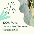 Plant Therapy Eucalyptus Globulus Essential Oil 10 mL (1/3 oz) for Diffuser, Skin, Hair, Aromatherapy DIYs, and Clear Breathing,