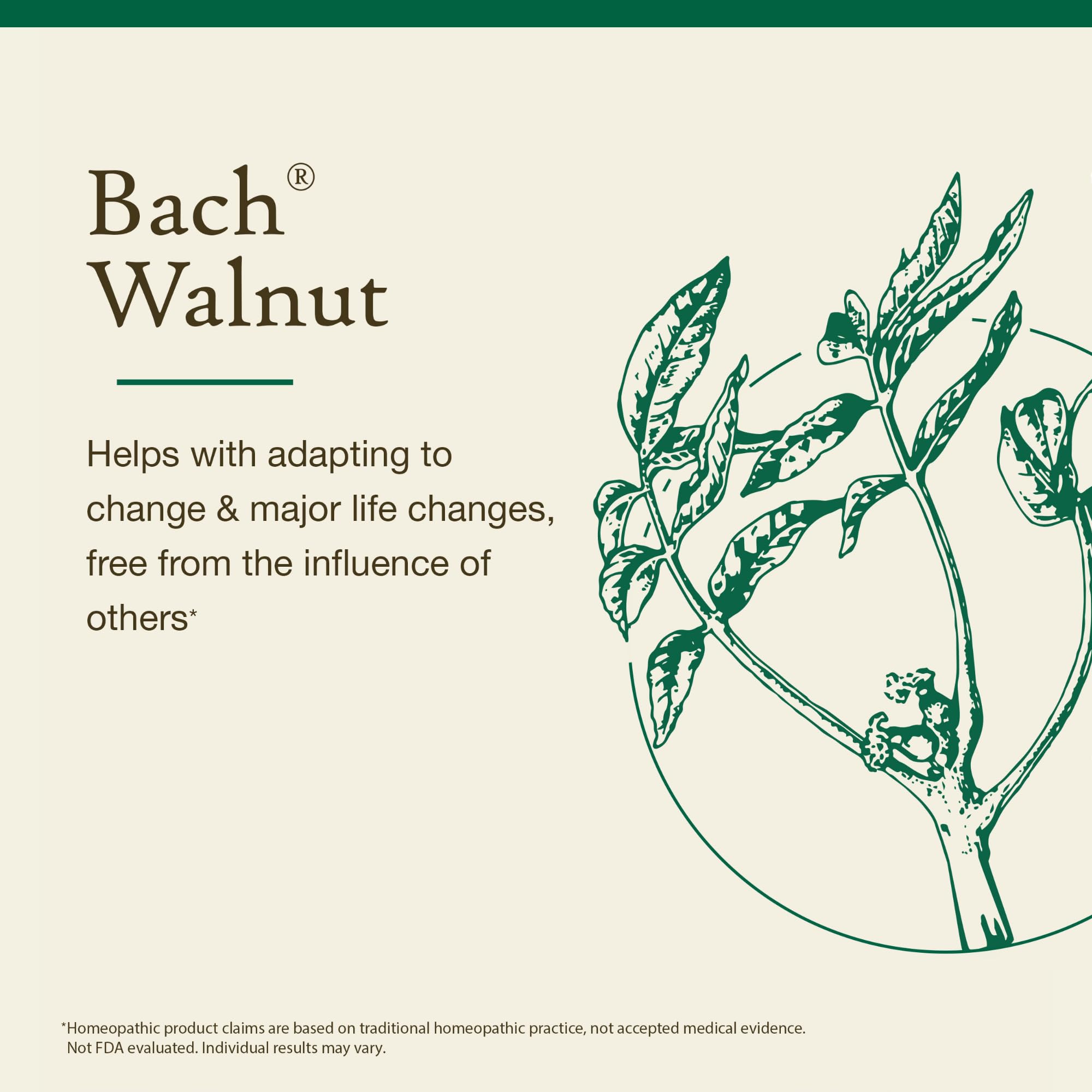 Bach Original Flower Remedies, Walnut - Adapt to Change - Natural Homeopathic Flower Essence for Emotional Balance - Vegan, Glut