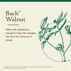 Bach Original Flower Remedies, Walnut - Adapt to Change - Natural Homeopathic Flower Essence for Emotional Balance - Vegan, Glut