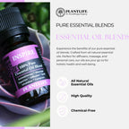 Plantlife Meditate Aromatherapy Essential Oil Blend - Straight from The Plant 100% Pure Therapeutic Grade - No Additives or Fill