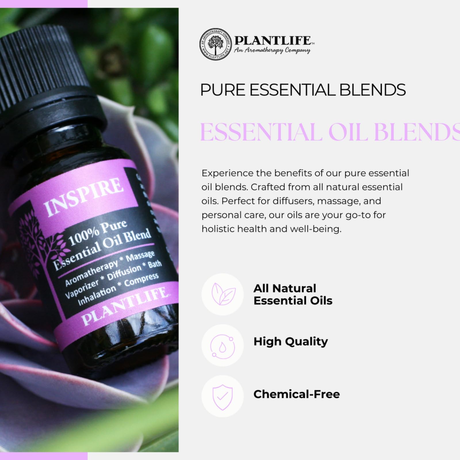 Plantlife Meditate Aromatherapy Essential Oil Blend - Straight from The Plant 100% Pure Therapeutic Grade - No Additives or Fill