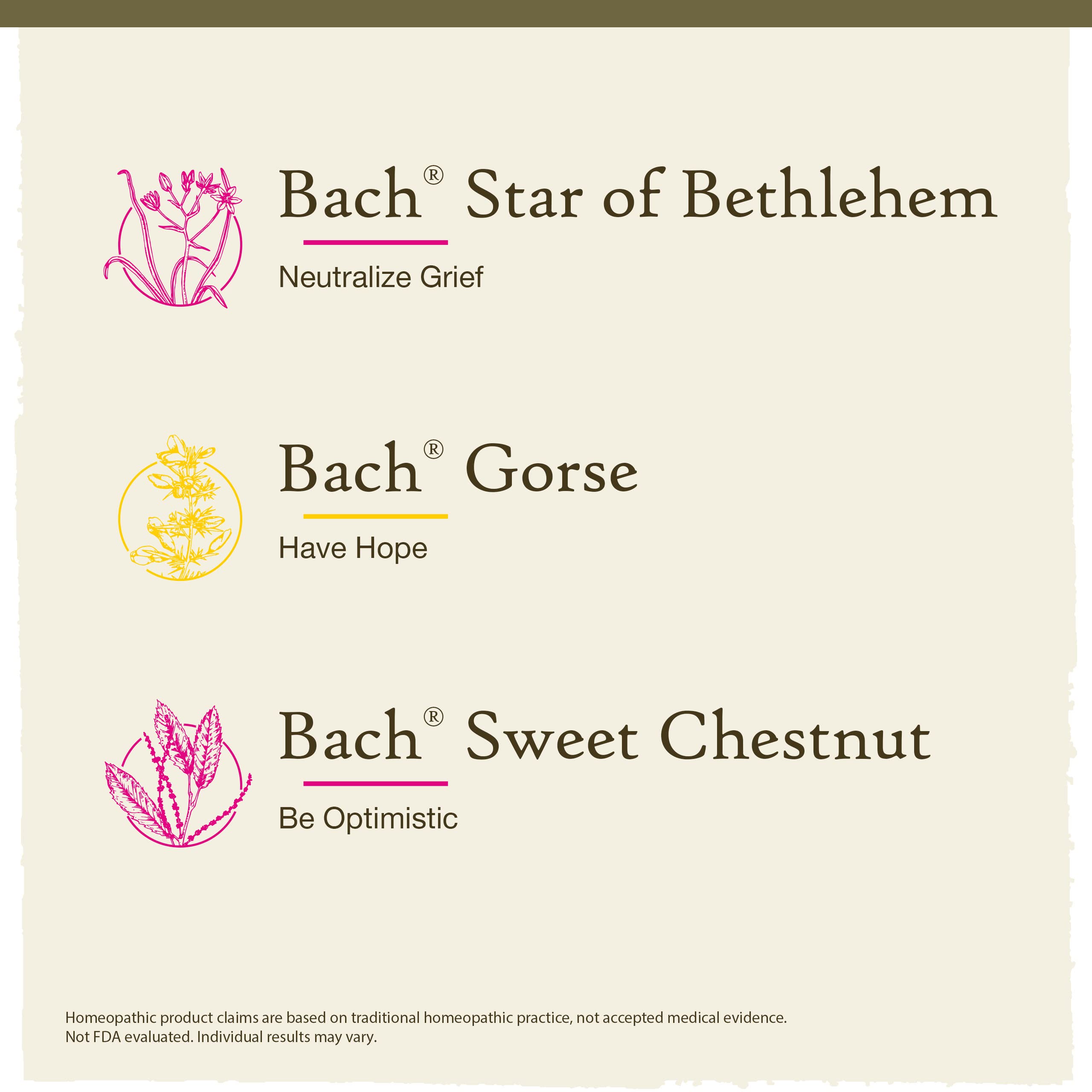 Bach Original Flower Remedies, Hope and Joy Kit, For Comfort and Optimism, Natural Homeopathic Flower Essence, Holistic Wellness