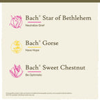 Bach Original Flower Remedies, Hope and Joy Kit, For Comfort and Optimism, Natural Homeopathic Flower Essence, Holistic Wellness