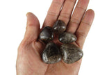 CircuitOffice 5 Piece Smoky Quartz Tumbled Stones (0.75 - 1.25) - Healing Stones, Metaphysical Healing, Chakra Stones for Wicca,