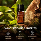 Gya Labs Ravensara Essential Oil Diffuser - Ravensara Essential Oil for Skin - Ravensara Oil for Hair Aromatherapy Candles Makin