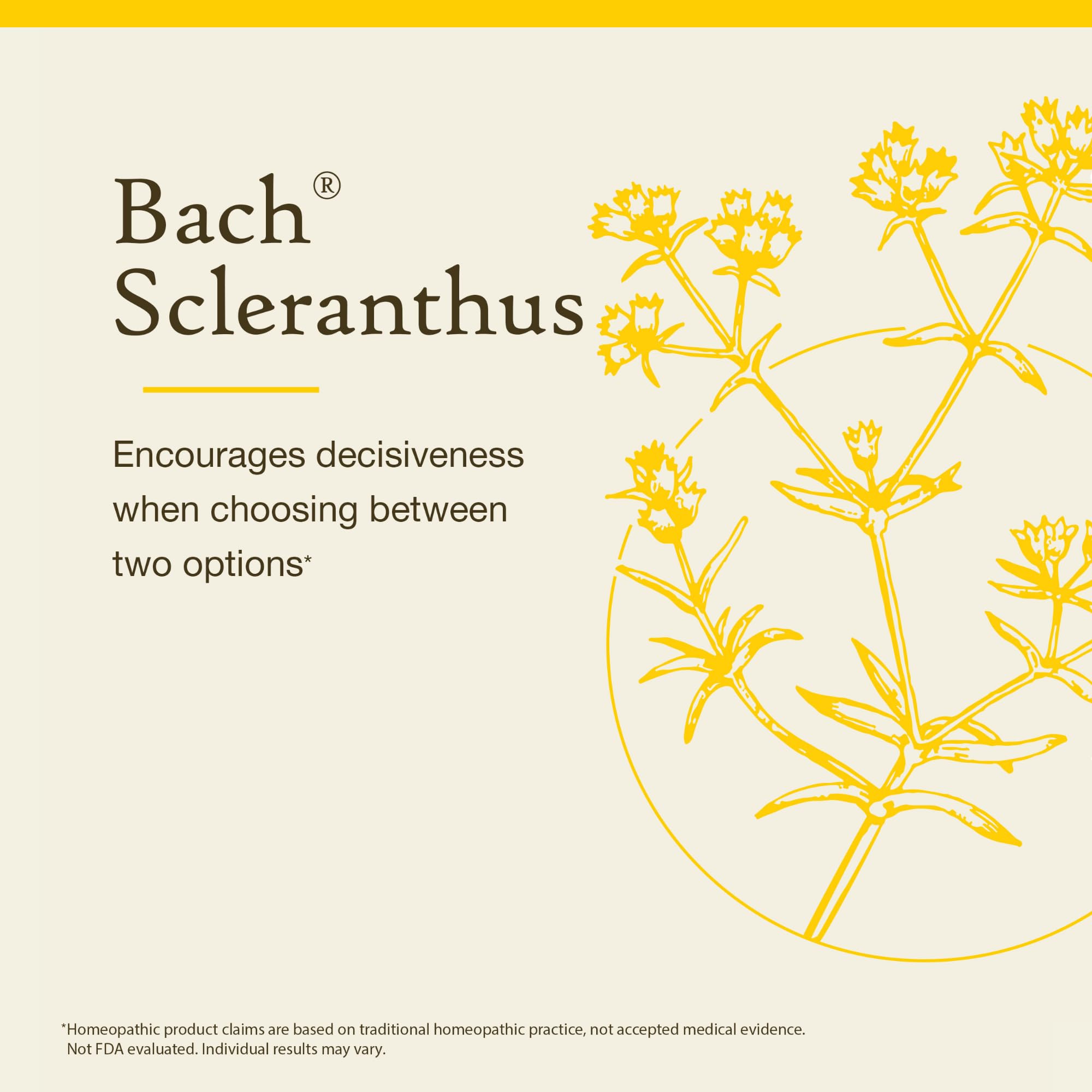 Bach Original Flower Remedies, Scleranthus - Be Decisive - Natural Homeopathic Flower Essence for Emotional Balance - Vegan, Glu