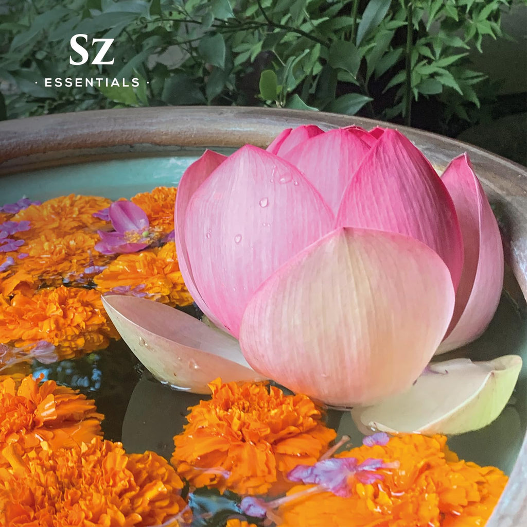 Sz Essentials - Pink Lotus 100% Pure, Essential Natural Oil - Extracted from Nymphaea Nucifera - Divine & Sweet Scent, with Exot
