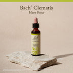 Bach Original Flower Remedies clematis 20ml