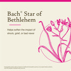 Bach Original Flower Remedies, Star of Bethlehem - 20mL Dropper, Pack of 2 - Neutralize Grief - Natural Homeopathic Flower Essen