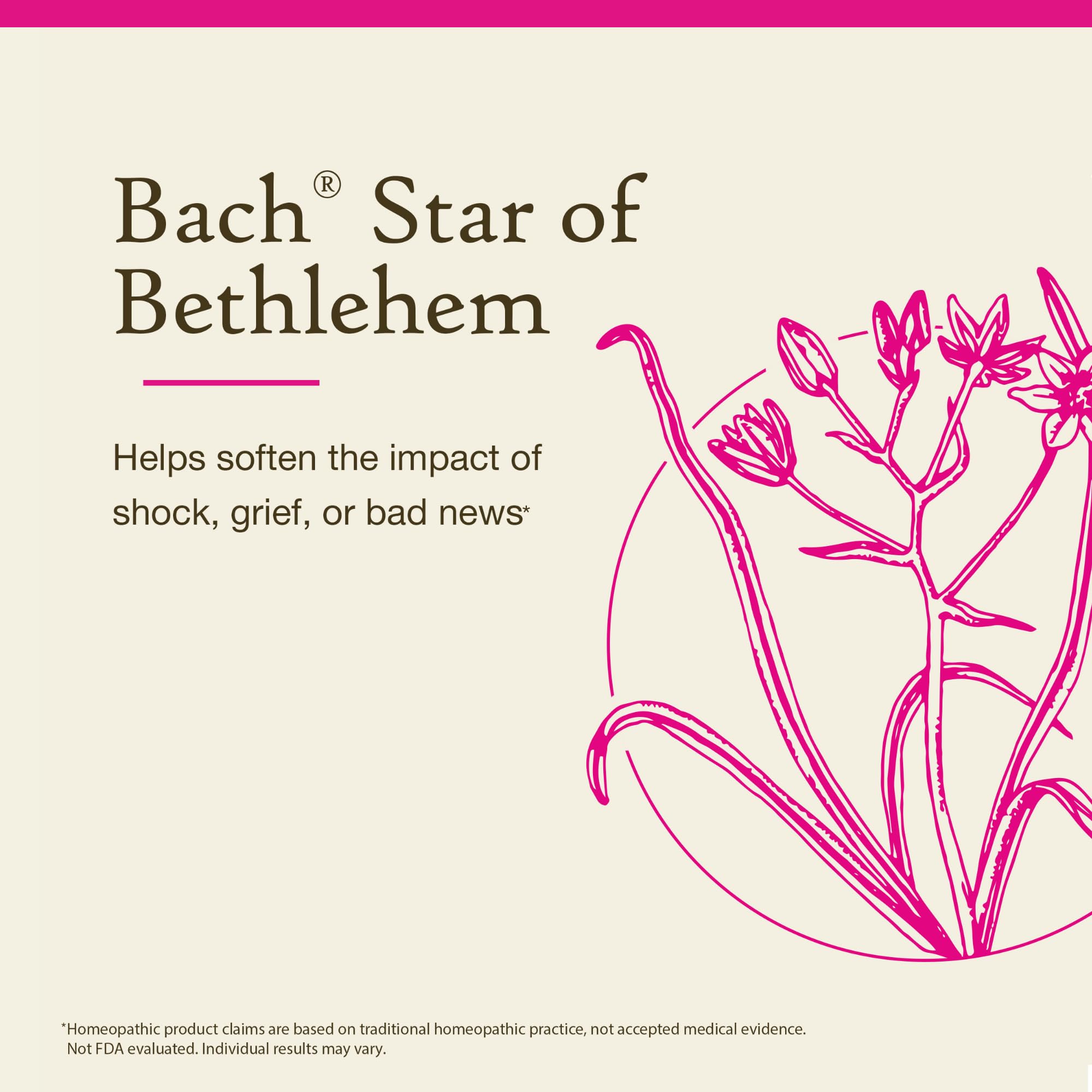 Bach Original Flower Remedies, Star of Bethlehem - 20mL Dropper, Pack of 2 - Neutralize Grief - Natural Homeopathic Flower Essen