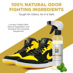 Gold Standard Natural Sneaker Deodorizer Spray, 2 Pack, 6 oz Shoe Odor Eliminator, Extra Strength & Long-Lasting Peppermint Fres