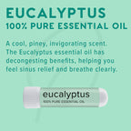 MOXE Eucalyptus Essential Oil Nasal Inhaler, Sinus & Congestion Relief, Daily Relaxation, Stress Relief, Therapeutic No-Mess Aro
