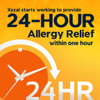 Xyzal Allergy Pills, 24-Hour Allergy Relief, 10-Count, Original Prescription Strength