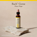 Bach Original Flower Remedy gorse 20 ml