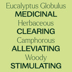 Plant Therapy Eucalyptus Globulus Essential Oil 10 mL (1/3 oz) for Diffuser, Skin, Hair, Aromatherapy DIYs, and Clear Breathing,