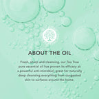 Tisserand Tea Tree, 0.68 Ounce
