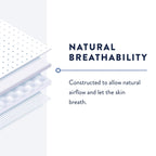 Prevail Incontinence Daily Pant Liners, Unisex, Moderate Absorbency, Large Plus, 16 Count